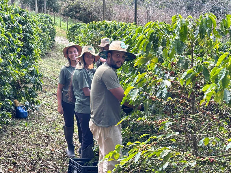 _0005_Café Sítio São Geraldo (10)