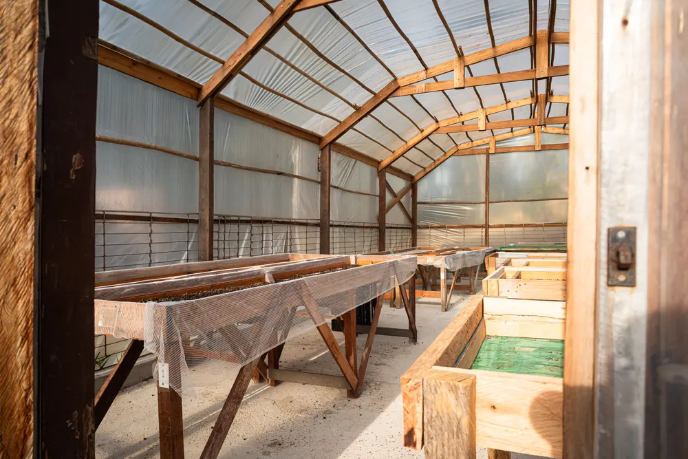 Vista interna estufa de café (4)