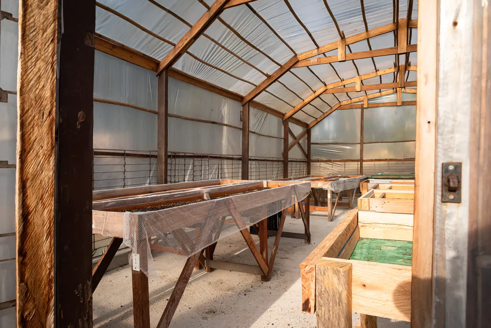 Vista interna estufa de café (6)