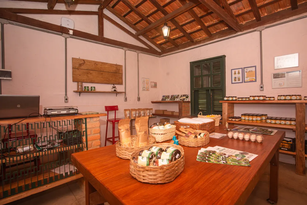 Vista interna lojinha (2)