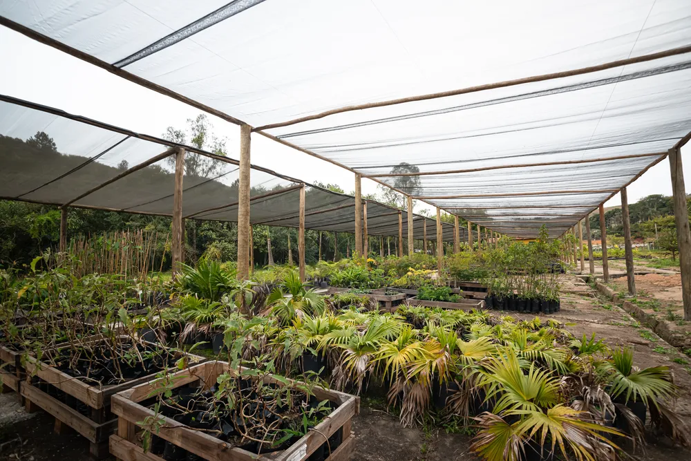 Viveiro de mudas e estufa ao lado da lojinha (10)