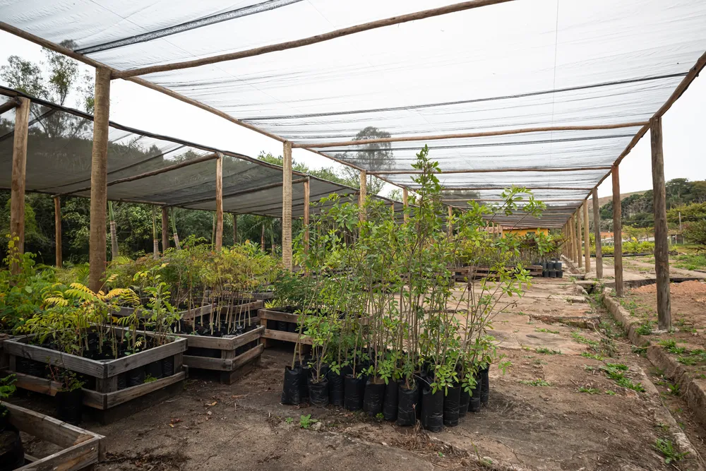 Viveiro de mudas e estufa ao lado da lojinha (11)