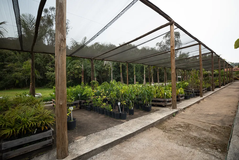Viveiro de mudas e estufa ao lado da lojinha (2)