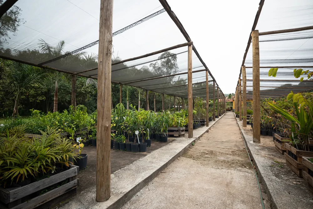 Viveiro de mudas e estufa ao lado da lojinha (3)