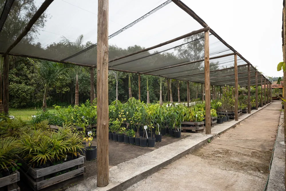 Viveiro de mudas e estufa ao lado da lojinha (4)