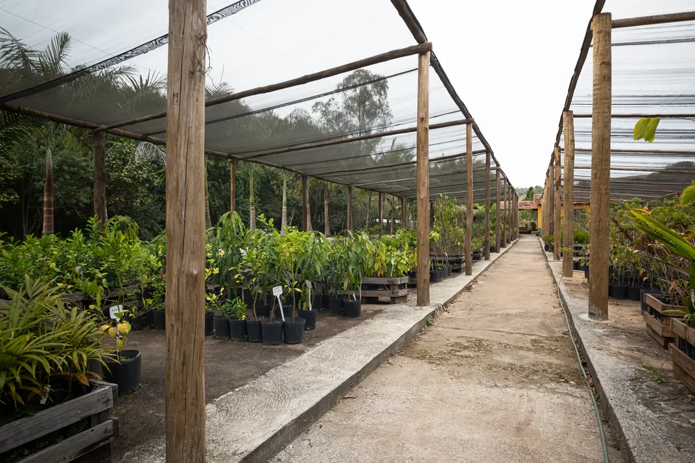 Viveiro de mudas e estufa ao lado da lojinha (5)