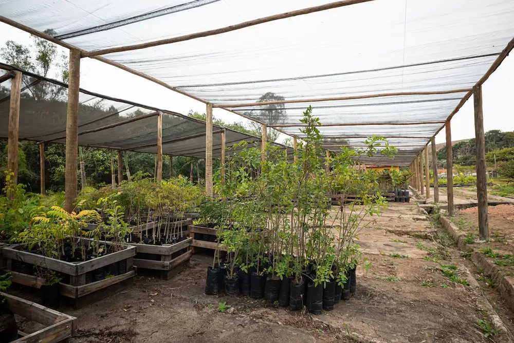 Viveiro de mudas e estufa ao lado da lojinha (9)