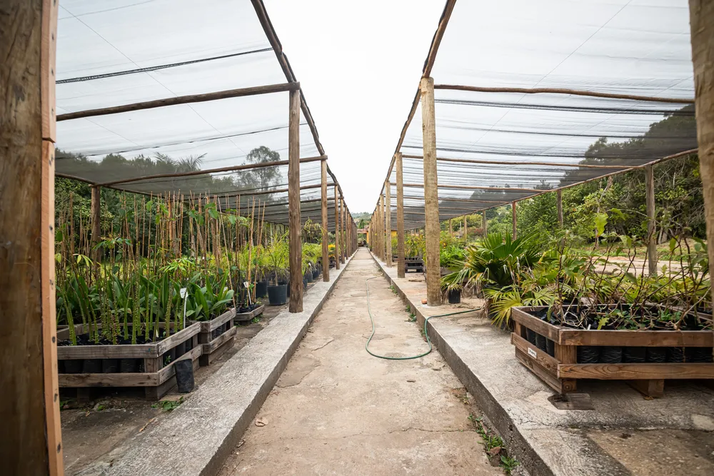 Viveiro de mudas e estufa ao lado da lojinha